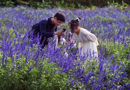 (miniature) Des touristes visitent un manoir à Beijing