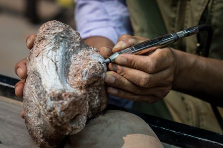 (miniature) Un employ&eacute; travaille &agrave; la carri&egrave;re de fossiles de dinosaures de Lufeng