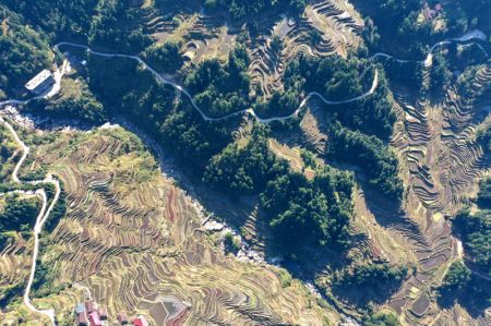 (miniature) Des champs en terrasses au bourg d'Antai du district Miao de Rongshui