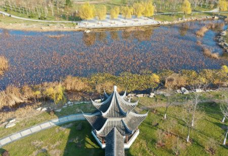 (miniature) Vue aérienne du parc de Shuixi dans l'arrondissement de Xiqing