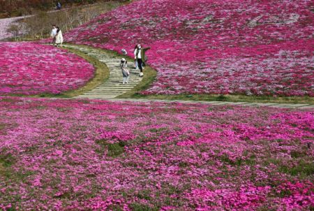 (miniature) Des gens admirent des fleurs à Jinan