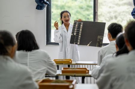 (miniature) Une enseignante donne un cours sur le café à la faculté des cultures tropicales de l'Université agricole du Yunnan