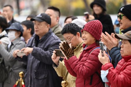 (miniature) Des spectateurs assistent à la pièce La Barrette du Phénix dans une rue à Tianjin