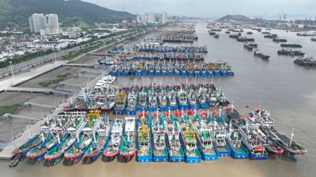 (miniature) Photo aérienne prise le 1er août de bateaux de pêche s'abritant à l'approche du typhon Khanun dans le port de Shenjiamen
