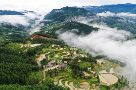 (miniature) Photo aérienne prise le 19 mai 2024 de champs en terrasses au village de Yangdong à Liping