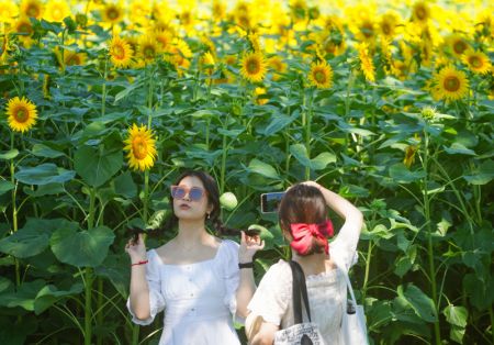 (miniature) Une fille pose pour une photo avec des tournesols dans le Parc forestier olympique de Beijing