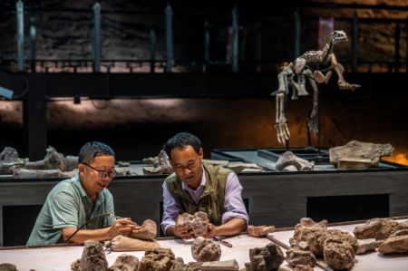 (miniature) Des employ&eacute;s travaillent &agrave; la carri&egrave;re de fossiles de dinosaures de Lufeng