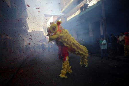 (miniature) PHOTOS. La danse du Lion à travers le monde