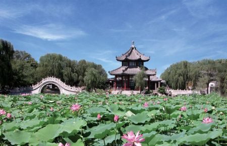 (miniature) Jardin de l'Etang aux lotus à Baoding