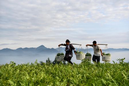 (miniature) Des villageois transportent des pastèques dans le bourg de Zhongcheng