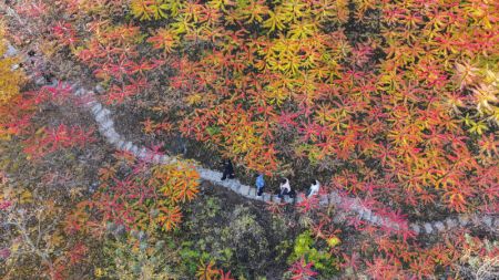 (miniature) Photo aérienne prise par un drone montrant des personnes visitant un site touristique à Zunhua