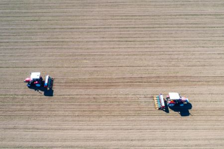(miniature) Des agriculteurs épandent de l'engrais sur un champs de blé