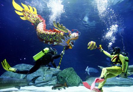(miniature) Photos : Danse du dragon sous l'eau d'un aquarium géant