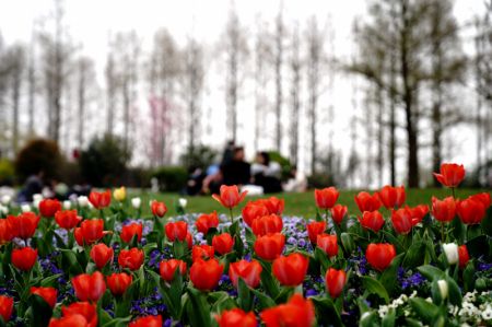 (miniature) Des visiteurs dans le Jardin botanique de Chenshan