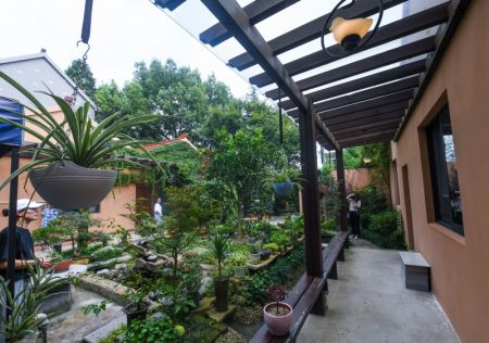 (miniature) Des visiteurs dans le jardin d'un villageois dans un village de Jiaxing