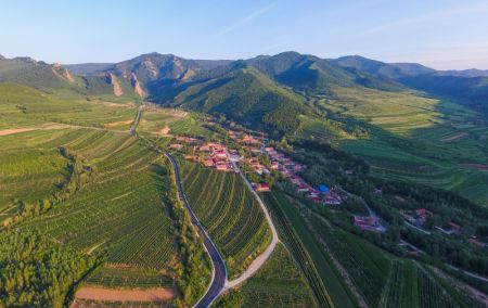 (miniature) Photo a&eacute;rienne prise le 15 juillet 2019 montrant le paysage du village de Maanshan de la banni&egrave;re de Harqin de la ville de Chifeng