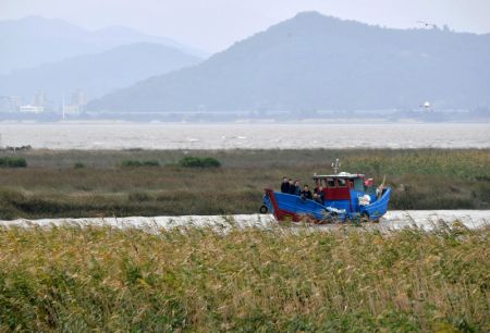 (miniature) Paysage de la zone humide de l'estuaire du fleuve Minjiang à Fuzhou