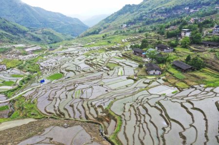(miniature) Des champs en terrasses &agrave; Youxi