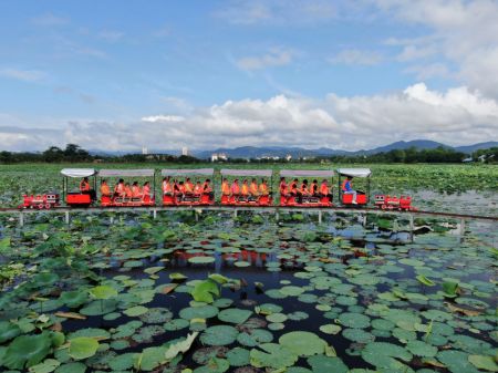 (miniature) Des visiteurs prennent un mini-train touristique pour admirer des fleurs de lotus sur le lac Longde