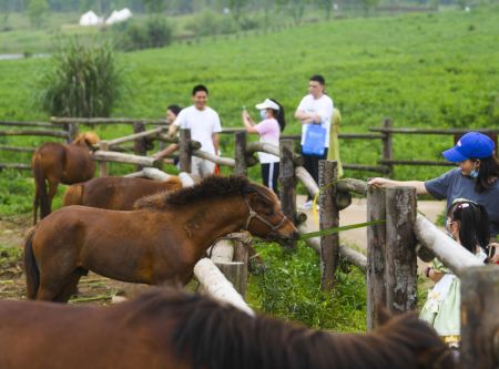 (miniature) Des touristes visitent l'île de Guangyang à Chongqing