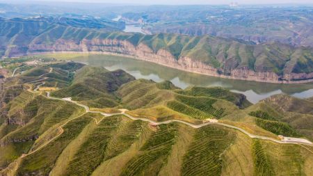 (miniature) Photo aérienne d'un canyon sur le fleuve Jaune