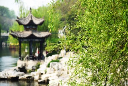 (miniature) Paysage printanier le long des douves à Jinan