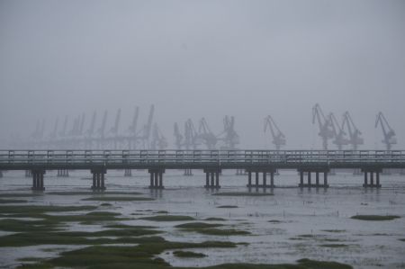 (miniature) Vue de la zone portuaire de Zhapu du port de Jiaxing