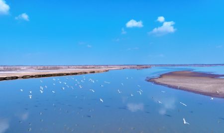 (miniature) Des oiseaux migrateurs survolent le fleuve Jaune dans la région autonome Hui du Ningxia