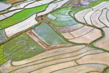 (miniature) Des agriculteurs nivellent un champ dans le village de Dashulin