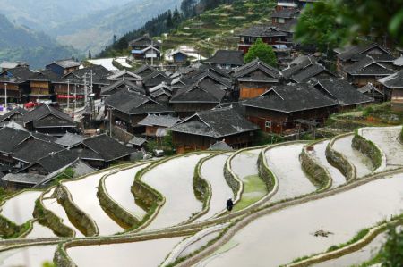 (miniature) Photo prise le 16 avril 2020 montrant des bâtiments traditionnels de l'ethnie Miao et des champs en terrasse à Jiabang