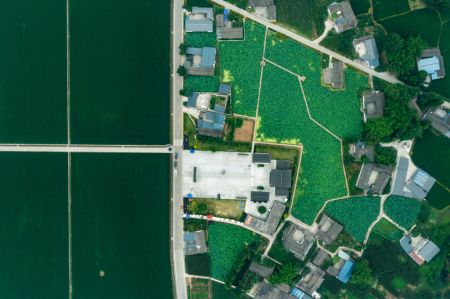 (miniature) Photo aérienne d'un parc industriel agricole à Meishan