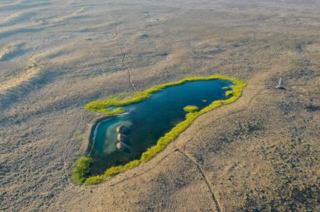 (miniature) Photo aérienne d'une mare dans la réserve naturelle de Kalamayli