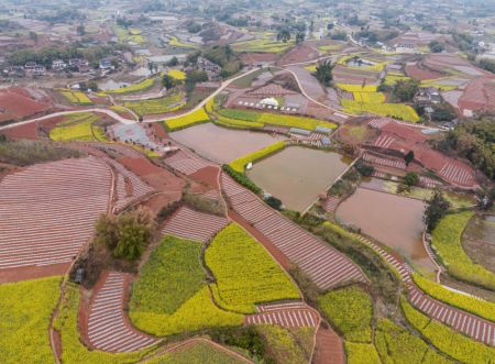 (miniature) Photo aérienne prise le 11 mars 2023 d'une vue des terres agricoles du village de Tiangongmiao