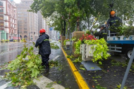 (miniature) Des secouristes enlèvent des branches d'arbre tombées dans une rue de Shanghai