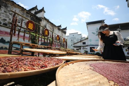 (miniature) Une touriste visite le village de Shimen du district de Wuyuan