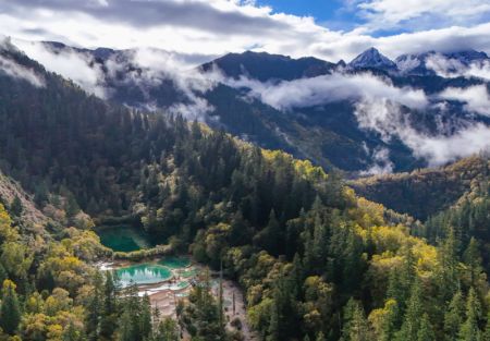 (miniature) Paysage automnal d'un lac de plateau et d'étangs de calcification dans le site touristique de Jiuzhaigou