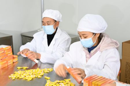 (miniature) Des employ&eacute;es emballent des comprim&eacute;s &agrave; base de ch&egrave;vrefeuille dans une usine du district de Suiyang