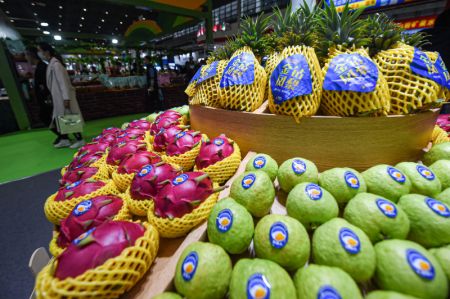 (miniature) Photo du Salon international d'hiver des produits agricoles tropicaux de Chine (Hainan) 2020