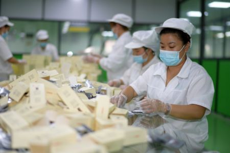 (miniature) Des employés emballent des produits à base de chèvrefeuille dans une usine du district de Suiyang