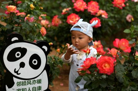 (miniature) Un enfant dans un parc dans l'arrondissement de Chang'an de la ville de Shijiazhuang