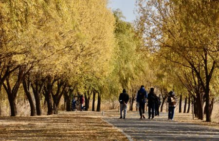 (miniature) Des personnes visitant le parc national de zones humides du lac Yeya (canard sauvage) dans l'arrondissement de Yanqing