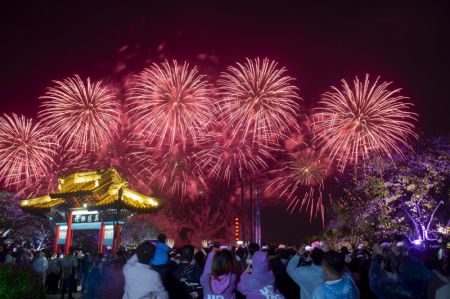 (miniature) Des gens admirent des feux d'artifice dans le site touristique de Yuantouzhu du lac Taihu