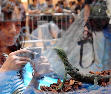 (miniature) Expo sur l'évolution des animaux à Hong kong