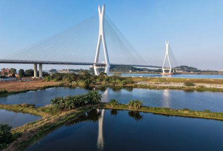 (miniature) Une photo aérienne prise par un drone le 21 novembre 2024 montrant une vue du super pont de Fulong Xijiang à Foshan