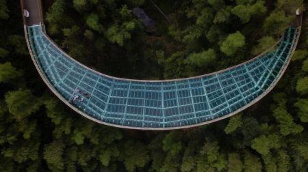 (miniature) Photo aérienne prise le 30 juin 2023 des personnes s'amusant au site pittoresque de la mer de bambous de Shunan à Yibin