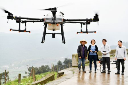 (miniature) Une technicienne (2e à gauche) présente le fonctionnement de drones de protection des plantes aux agriculteurs à Luwo