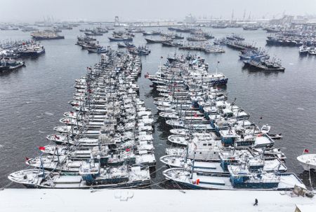 (miniature) Des bateaux recouverts de neige dans le port de pêche de Shidao