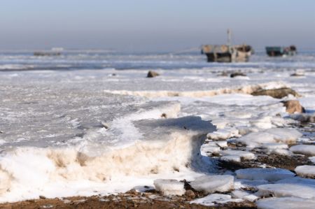 (miniature) De la glace de mer s'est formée le long de la zone côtière de la ville de Qingdao