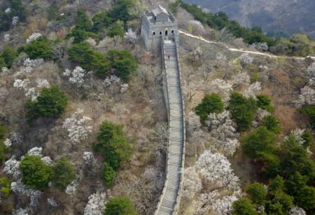 (miniature) La section de Mutianyu de la Grande Muraille de Chine