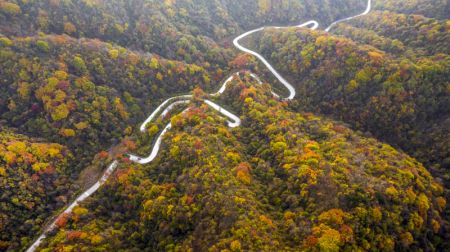 (miniature) Vue aérienne d'une route touristique dans le district de Liuba à Hanzhong